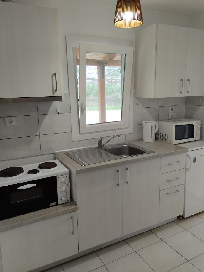 Studios Dimitraki Skala Rachoni  Bagian luar foto
