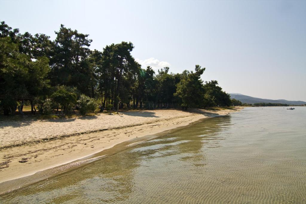 Studios Dimitraki Skala Rachoni  Bagian luar foto